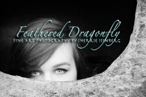 Feathered Dragonfly Logo-1